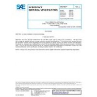 SAE AMS7301J
