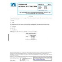 SAE AMS3793/3C