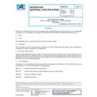 SAE AMS5333G