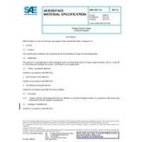 SAE AMS2451/6B