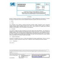 SAE AS29600B