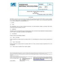 SAE AMS4905F