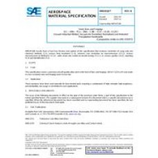 SAE AMS6516B SAE AMS6516B