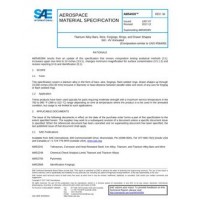 SAE AMS4928W