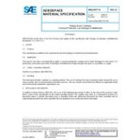 SAE AMS2451/4D