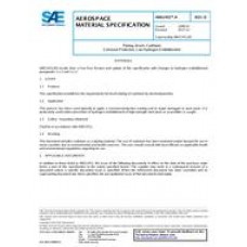 SAE AMS2451/4D
