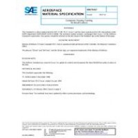 SAE AMS79_017