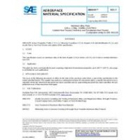 SAE AMS4101F