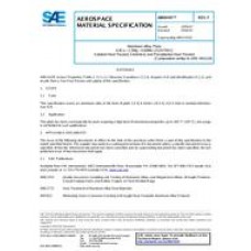 SAE AMS4101F