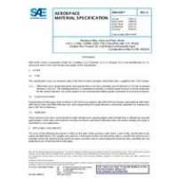 SAE AMS4194E