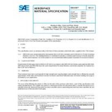 SAE AMS4194E