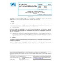 SAE AMS4040P