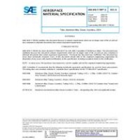 SAE AMSWWT700/3B