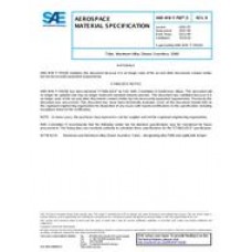 SAE AMSWWT700/5B