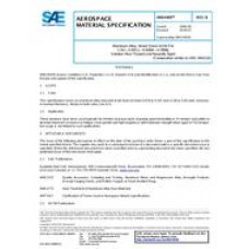 SAE AMS4405B