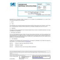 SAE AMS4633B SAE AMS4633B