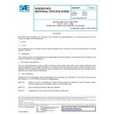 SAE AMS4299A