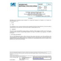 SAE AMS5876E