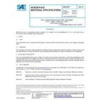 SAE AMS5925B