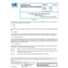 SAE AMS5925B