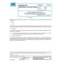 SAE AMS4461B