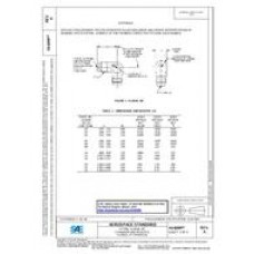 SAE AS6099A