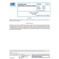 SAE AMS4820F