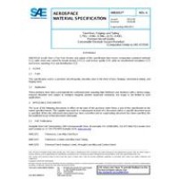 SAE AMS6551A