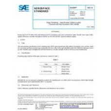 SAE AS4299B