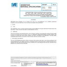 SAE AMS5920B