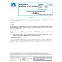 SAE AMS6910C