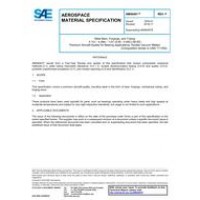 SAE AMS6491F