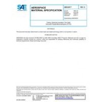 SAE AMS3655D SAE AMS3655D