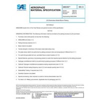 SAE AMS2399B