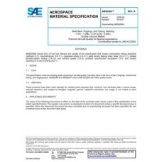SAE AMS6498B