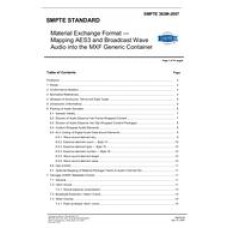 SMPTE 382M-2007