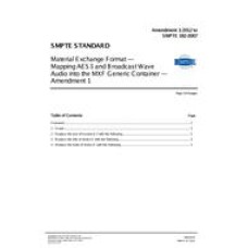 SMPTE 382M-2007 Amendment 1:2012