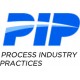 PIP STANDARDS PDF